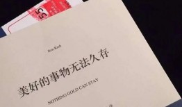 励志新闻爆料文案范文,逆境中的励志传奇！